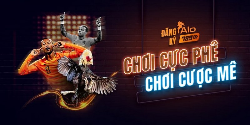 Hỗ trợ tìm kiếm thông tin nhanh chóng hơn