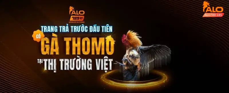 Giới thiệu chung nhà cái đá gà thomo uy tín alo789